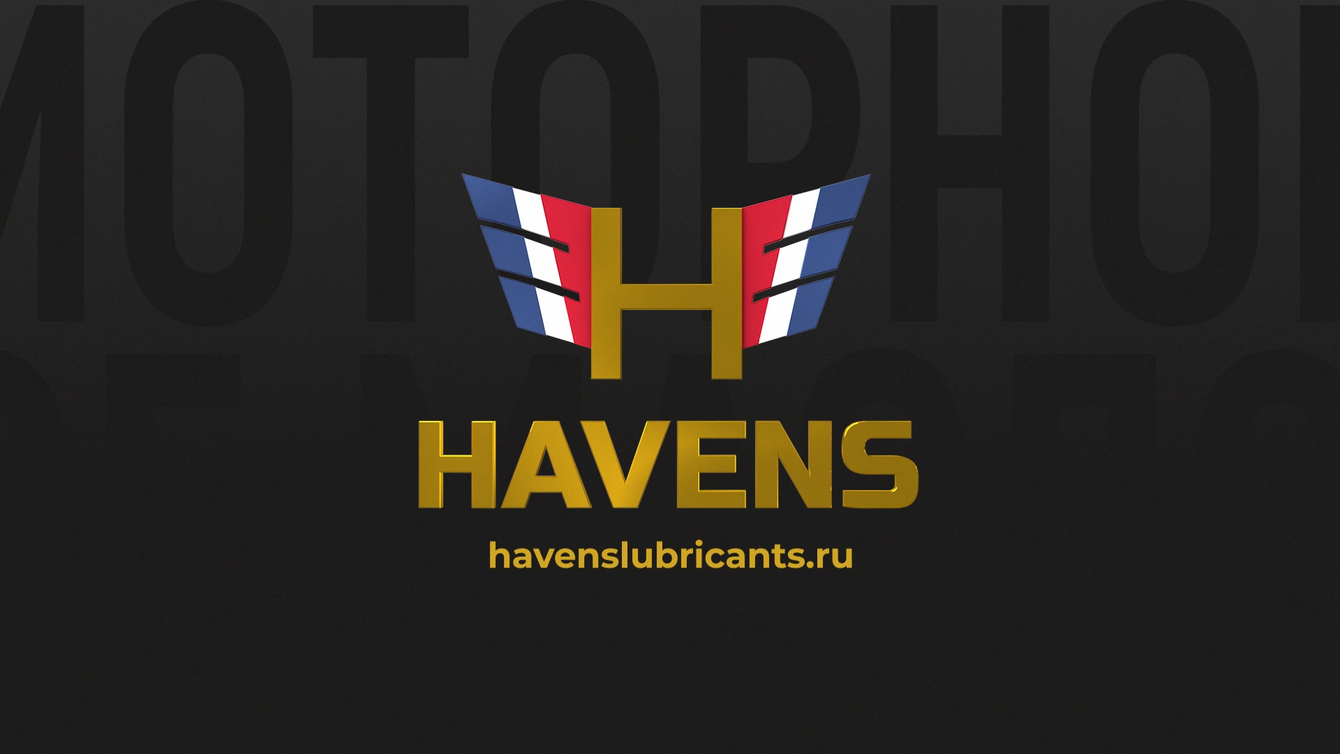 HAVENS Обучение