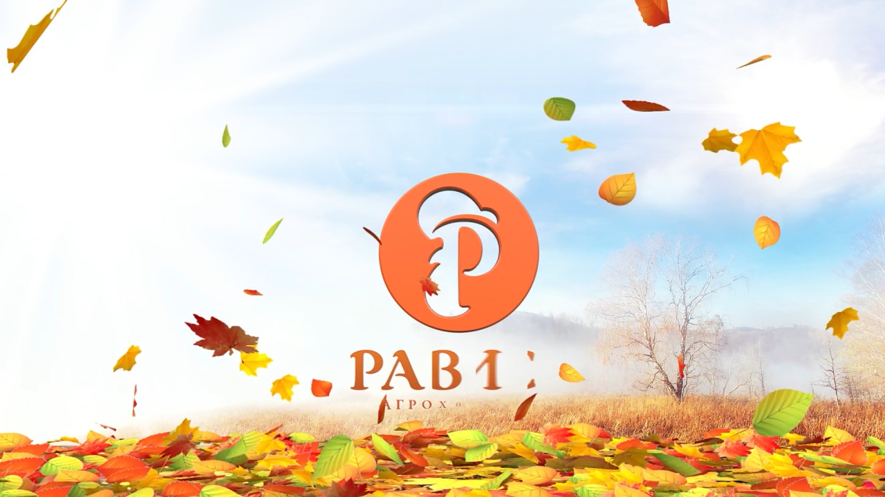РАВИС